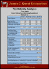 Marketing Management Simulation Profitability Analysis Report